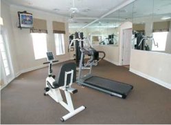 Emerald Island Gym